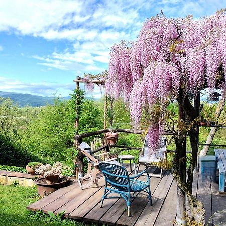 Tuscan Hills - Stonehouse, Garden & Pool Vicchio Εξωτερικό φωτογραφία