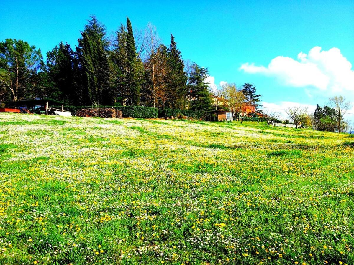 Tuscan Hills - Stonehouse, Garden & Pool Vicchio Εξωτερικό φωτογραφία