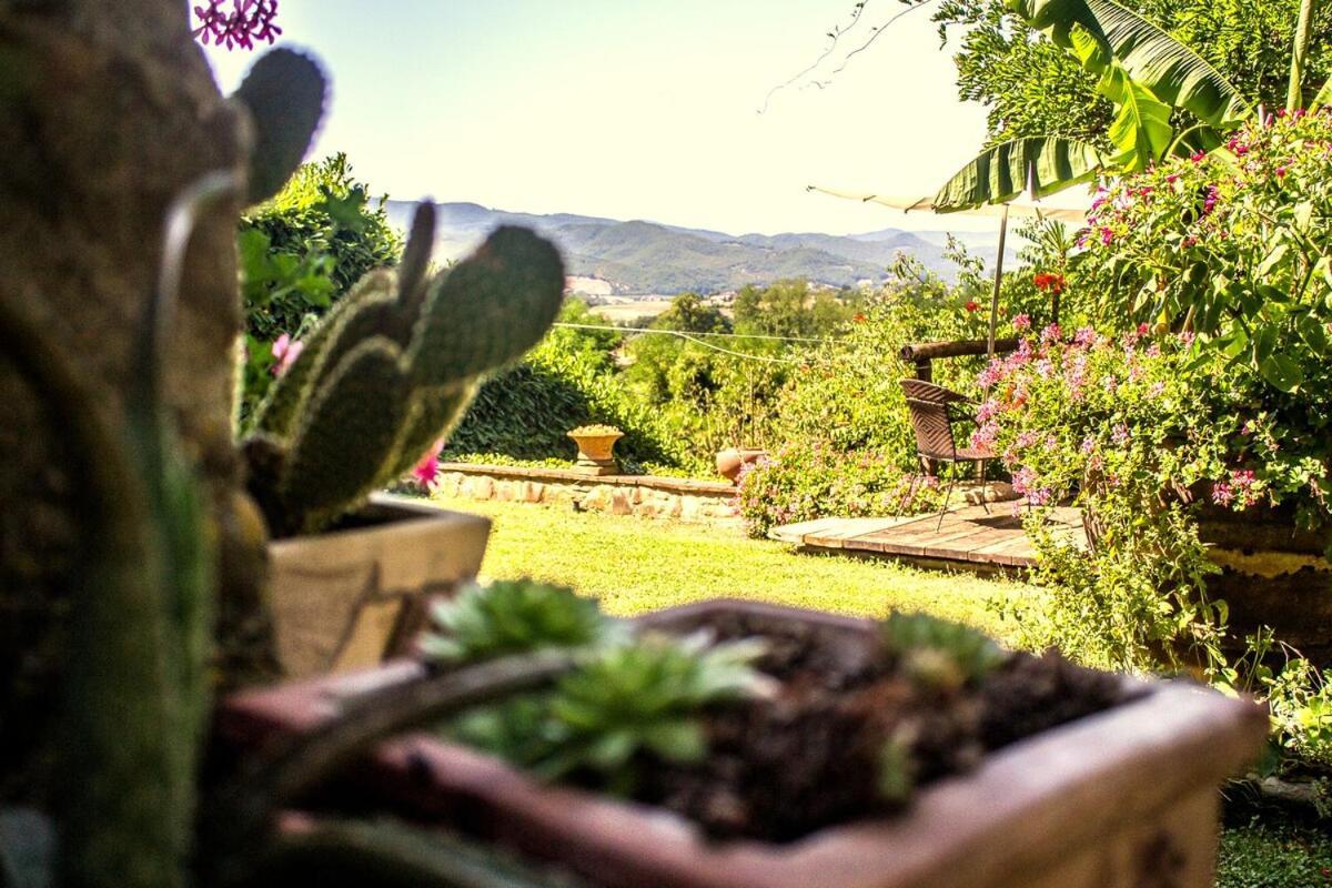Tuscan Hills - Stonehouse, Garden & Pool Vicchio Εξωτερικό φωτογραφία