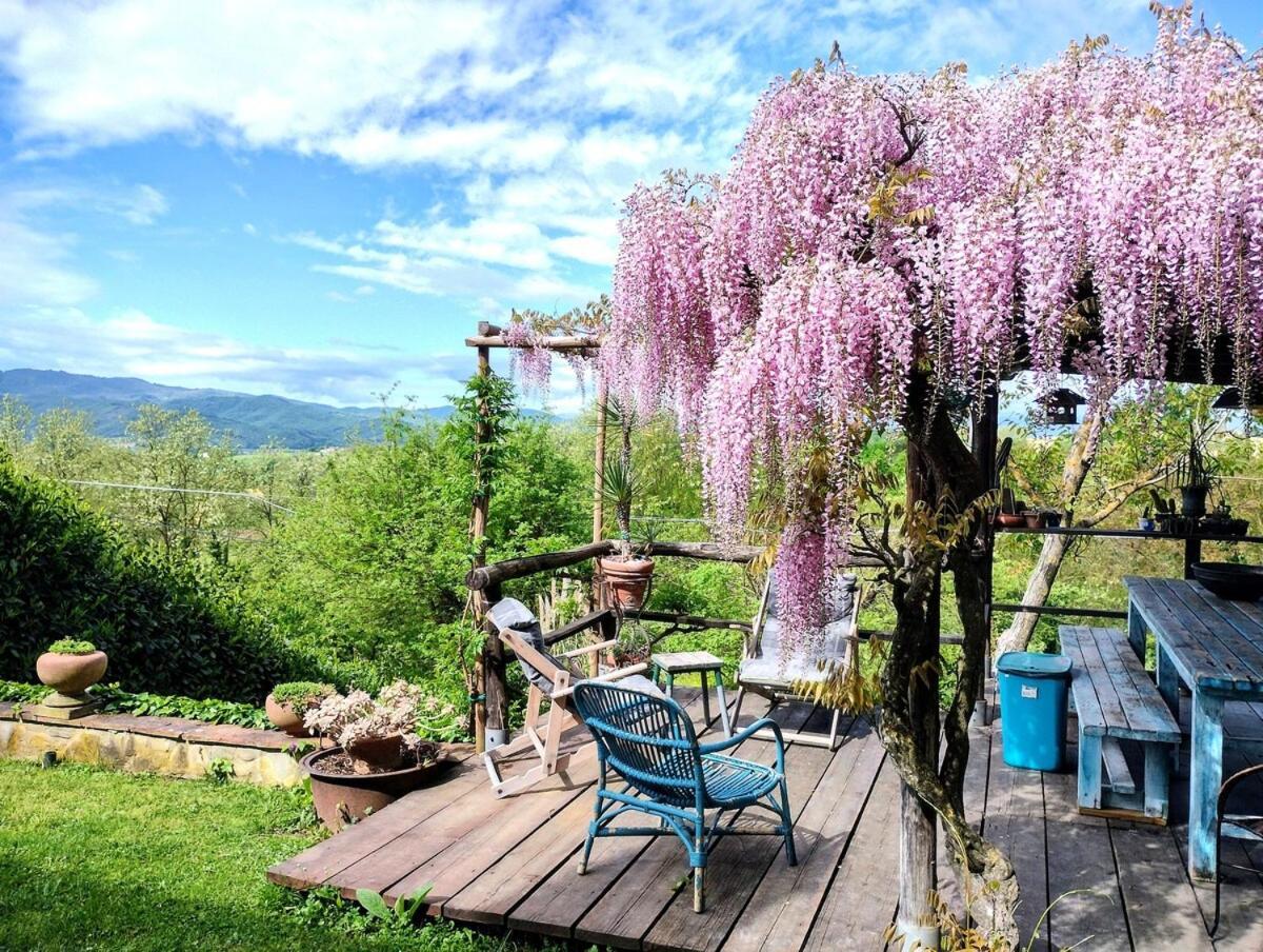 Tuscan Hills - Stonehouse, Garden & Pool Vicchio Εξωτερικό φωτογραφία